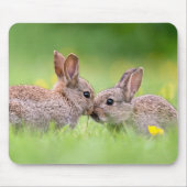 Niedliche Kleintiere | Bunny Kiss Mousepad (Vorne)