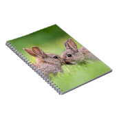 Niedliche Kleintiere | Bunny Kiss Notizblock (Rechte Seite)