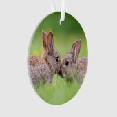 Niedliche Kleintiere | Bunny Kiss Ornament (Vorderseite)
