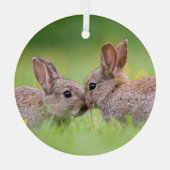 Niedliche Kleintiere | Bunny Kiss Ornament Aus Glas (Rückseite)