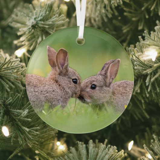 Niedliche Kleintiere | Bunny Kiss Ornament Aus Glas (InSitu)
