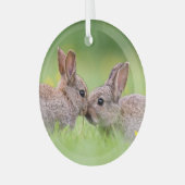 Niedliche Kleintiere | Bunny Kiss Ornament Aus Glas (Vorderseite links)