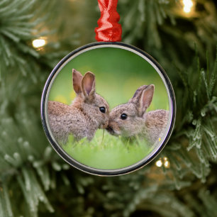Niedliche Kleintiere Bunny Kiss Ornament Aus Metall