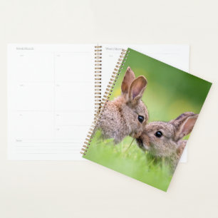 Niedliche Kleintiere Bunny Kiss Planer