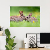 Niedliche Kleintiere | Bunny Kiss Poster (Heimbüro)