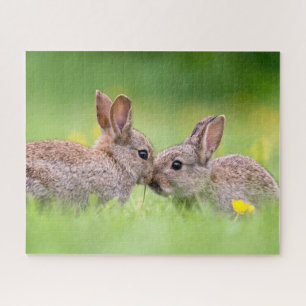 Niedliche Kleintiere   Bunny Kiss Puzzle