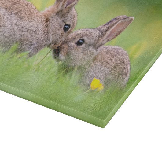Niedliche Kleintiere | Bunny Kiss Schneidebrett (Ecke)