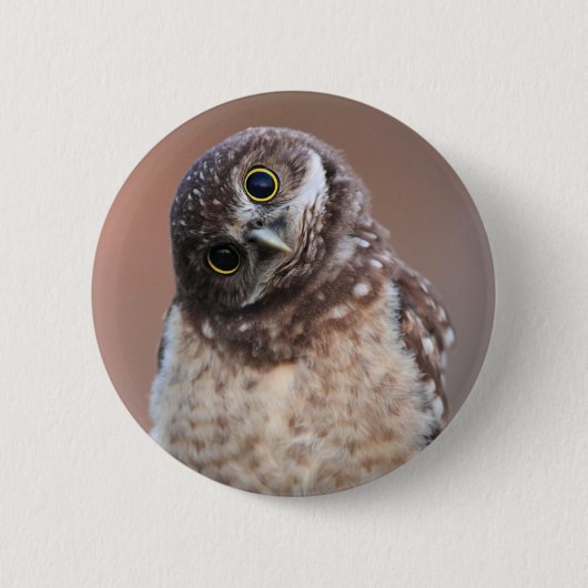 Niedliche Kleintiere | Burning Owl Owlet Button (Vorderseite)