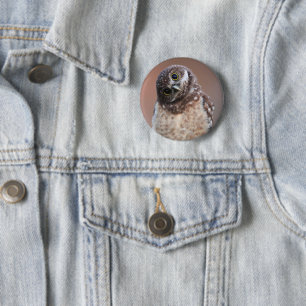 Niedliche Kleintiere Burning Owl Owlet Button