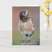 Niedliche Kleintiere | Burning Owl Owlet Karte (Gelbe Blume)