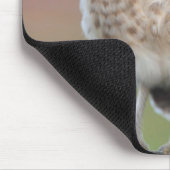 Niedliche Kleintiere | Burning Owl Owlet Mousepad (Ecke)