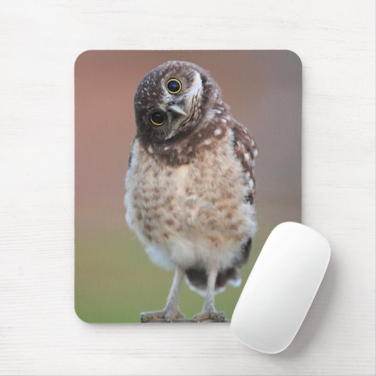 Niedliche Kleintiere | Burning Owl Owlet Mousepad (Mit Mouse)