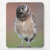 Niedliche Kleintiere | Burning Owl Owlet Mousepad (Vorne)