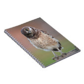 Niedliche Kleintiere | Burning Owl Owlet Notizblock (Rechte Seite)