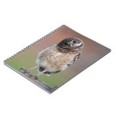 Niedliche Kleintiere | Burning Owl Owlet Notizblock (Linke Seite)