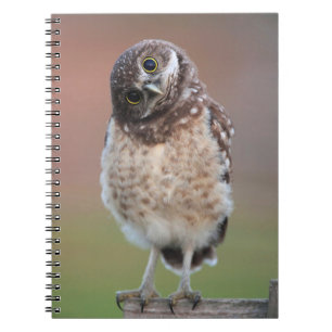 Niedliche Kleintiere Burning Owl Owlet Notizblock