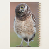 Niedliche Kleintiere | Burning Owl Owlet Planer (Rückseite)