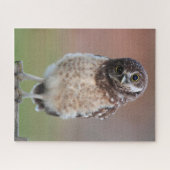 Niedliche Kleintiere | Burning Owl Owlet Puzzle (Horizontal)