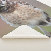 Niedliche Kleintiere | Burning Owl Owlet Sherpadecke (3/4)