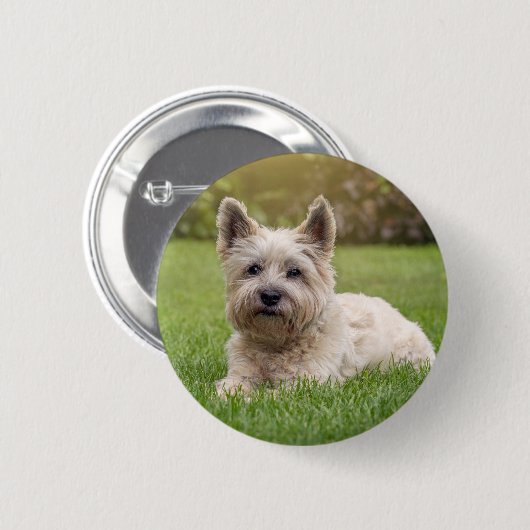 Niedliche Kleintiere | Cairn Terrier Dog Button (Vorne & Hinten)