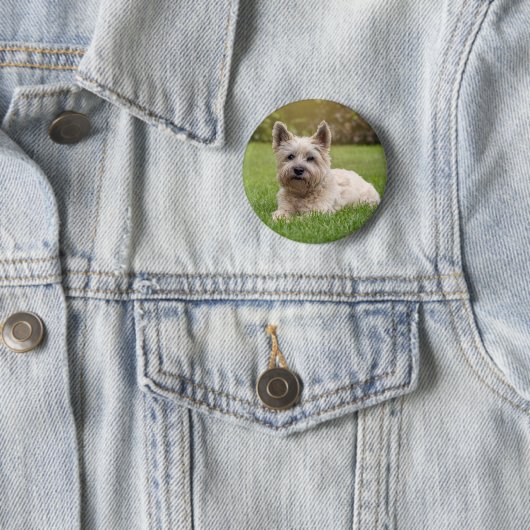 Niedliche Kleintiere | Cairn Terrier Dog Button (Beispiel)