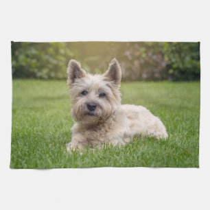 Niedliche Kleintiere Cairn Terrier Dog Geschirrtuch