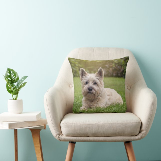 Niedliche Kleintiere | Cairn Terrier Dog Kissen (Stuhl )