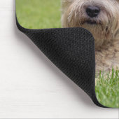 Niedliche Kleintiere | Cairn Terrier Dog Mousepad (Ecke)