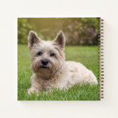 Niedliche Kleintiere | Cairn Terrier Dog Notizblock (Rückseite)