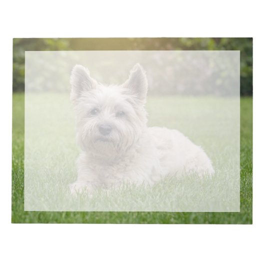 Niedliche Kleintiere | Cairn Terrier Dog Notizblock (Vorderseite)