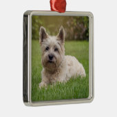 Niedliche Kleintiere | Cairn Terrier Dog Ornament Aus Metall (Rechts)