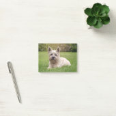 Niedliche Kleintiere | Cairn Terrier Dog Post-it Klebezettel (Büro)