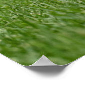 Niedliche Kleintiere | Cairn Terrier Dog Poster (Ecke)