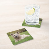 Niedliche Kleintiere | Cairn Terrier Dog Rechteckiger Pappuntersetzer (Vor Ort)
