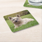 Niedliche Kleintiere | Cairn Terrier Dog Rechteckiger Pappuntersetzer (angewinkelt)