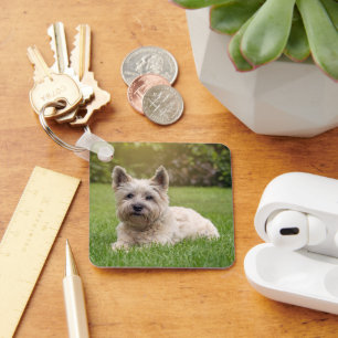 Niedliche Kleintiere Cairn Terrier Dog Schlüsselanhänger