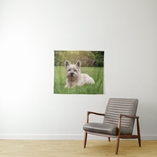 Niedliche Kleintiere | Cairn Terrier Dog Wandteppich (Beispiel (Horizontal))