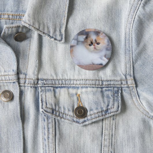 Niedliche Kleintiere | Calico Persian Kitten Button (Beispiel)
