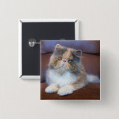 Niedliche Kleintiere | Calico Persian Kitten Button (Vorne & Hinten)