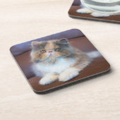 Niedliche Kleintiere | Calico Persian Kitten Getränkeuntersetzer (Linke Seite)