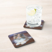 Niedliche Kleintiere | Calico Persian Kitten Getränkeuntersetzer (Rechte Seite)