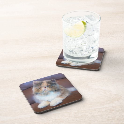 Niedliche Kleintiere | Calico Persian Kitten Getränkeuntersetzer (Rechte Seite)