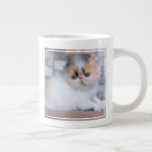 Niedliche Kleintiere | Calico Persian Kitten Jumbo-Tasse (Rechts)