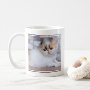 Niedliche Kleintiere Calico Persian Kitten Kaffeetasse