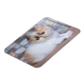 Niedliche Kleintiere | Calico Persian Kitten Magnet (Linke Seite)