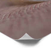 Niedliche Kleintiere | Calico Persian Kitten Poster (Ecke)