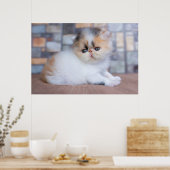 Niedliche Kleintiere | Calico Persian Kitten Poster (Küche)