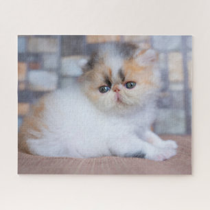 Niedliche Kleintiere Calico Persian Kitten Puzzle