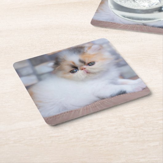 Niedliche Kleintiere | Calico Persian Kitten Rechteckiger Pappuntersetzer (angewinkelt)