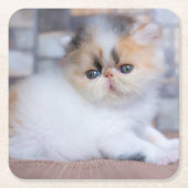 Niedliche Kleintiere | Calico Persian Kitten Rechteckiger Pappuntersetzer (Vorderseite)